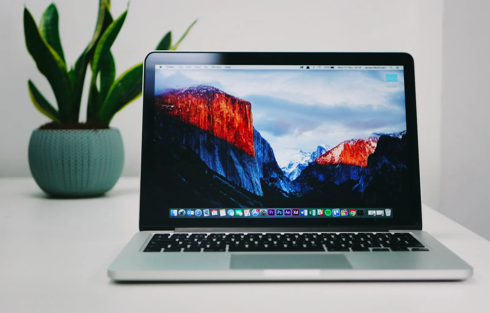 A laptop next to a potted plant