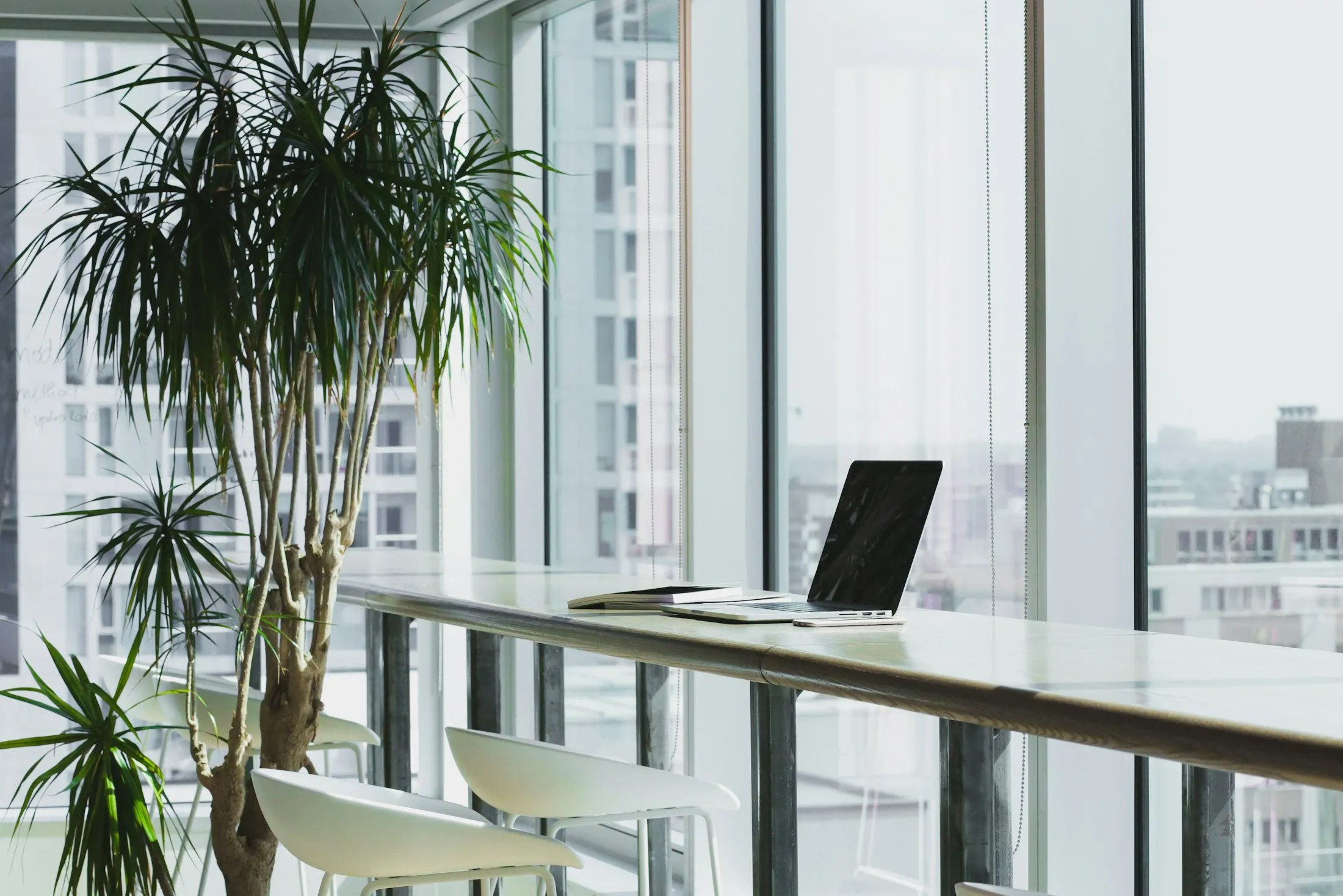 A bright office with plants and floor-to-ceiling windows